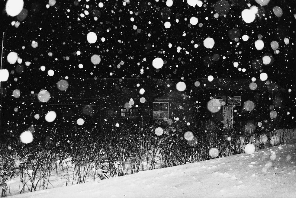 128.Daido Moriyama – Visioni oniriche della realtà 34 34.Snow . Daido Moriyama foto