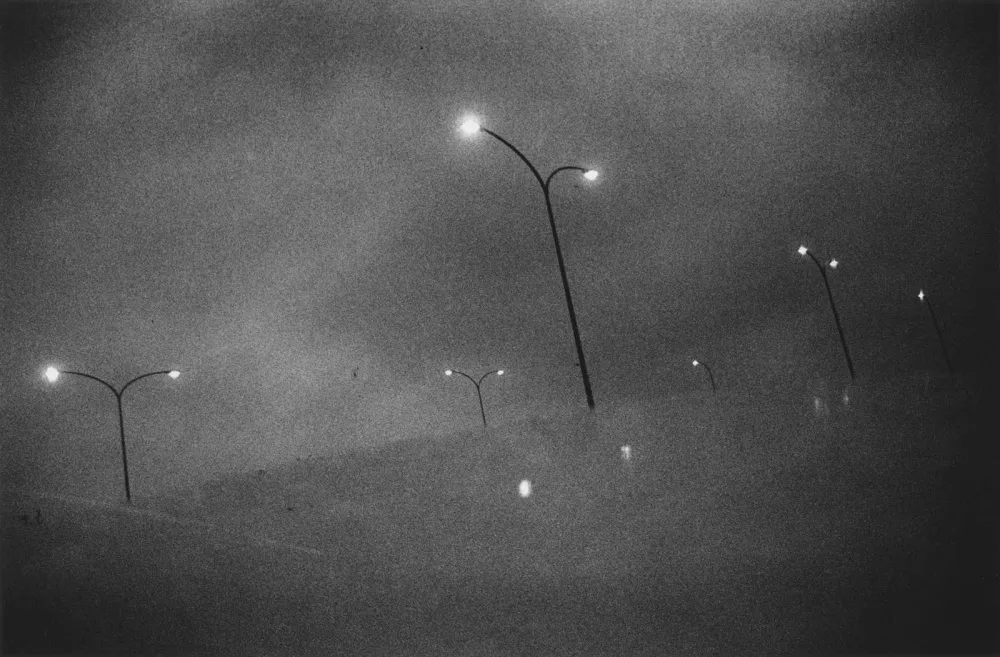 35.Hunter serie. Daido Moriyama foto