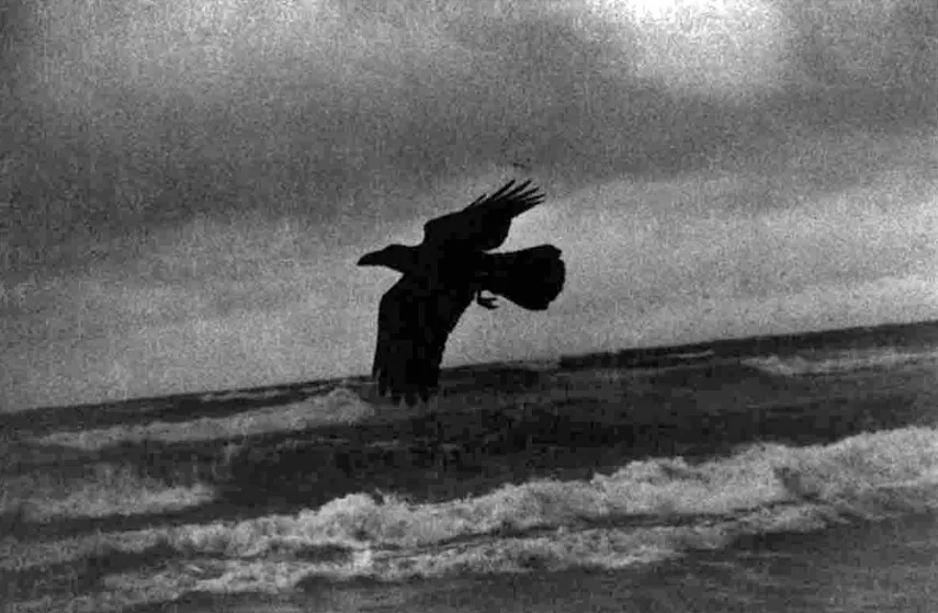 36.Sea Hachinohe city 1990 2011.Daido Moriyama foto