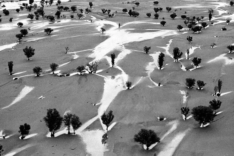 44. Raghu Rai foto
