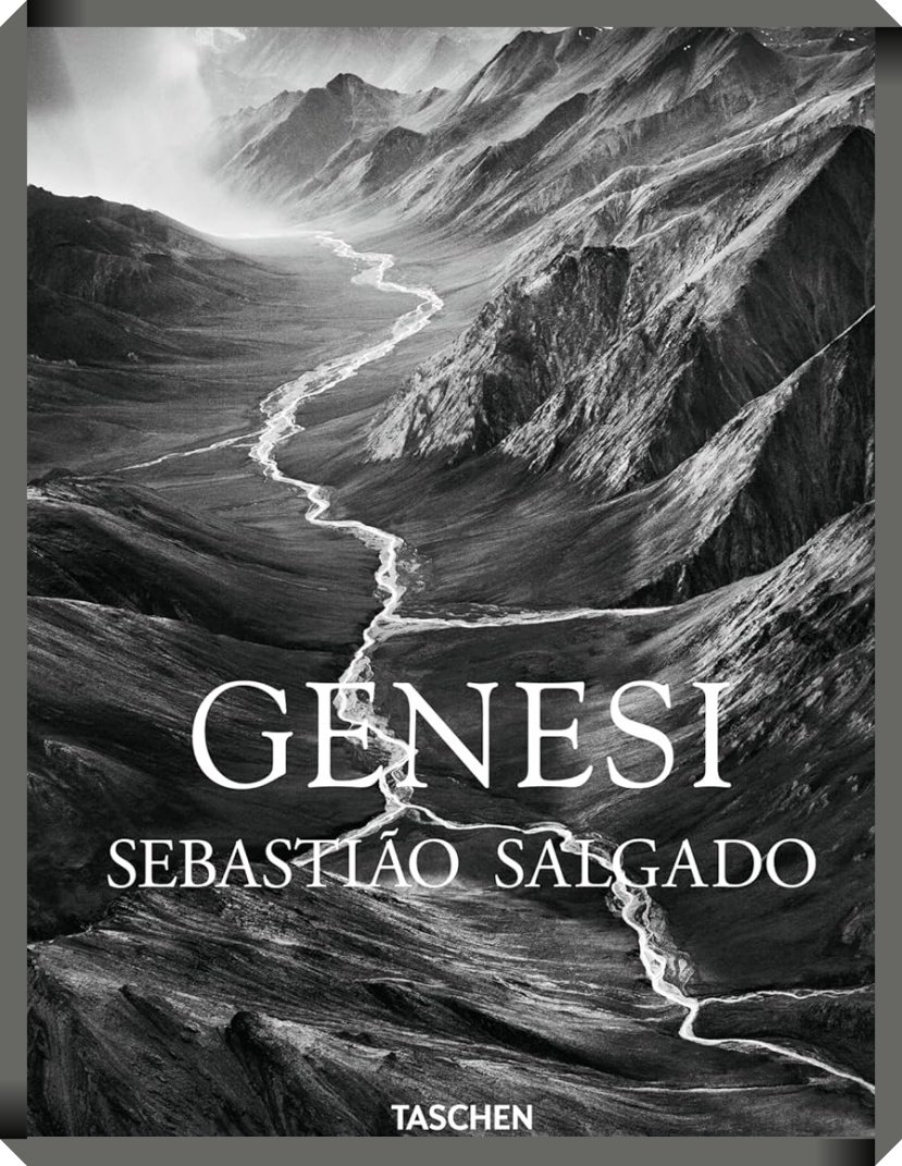 Home - Best Photo History 13 salgado 1