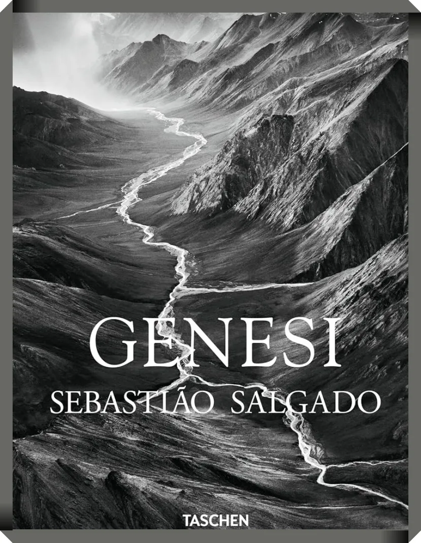 salgado 1