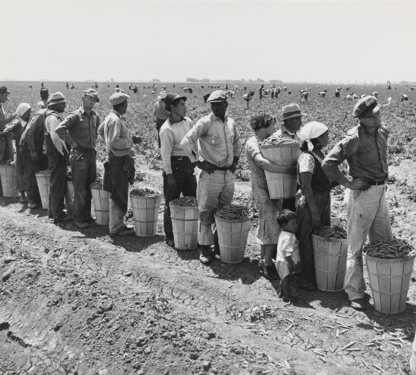 18.Lavoro nei campi. Near Westley. California1938