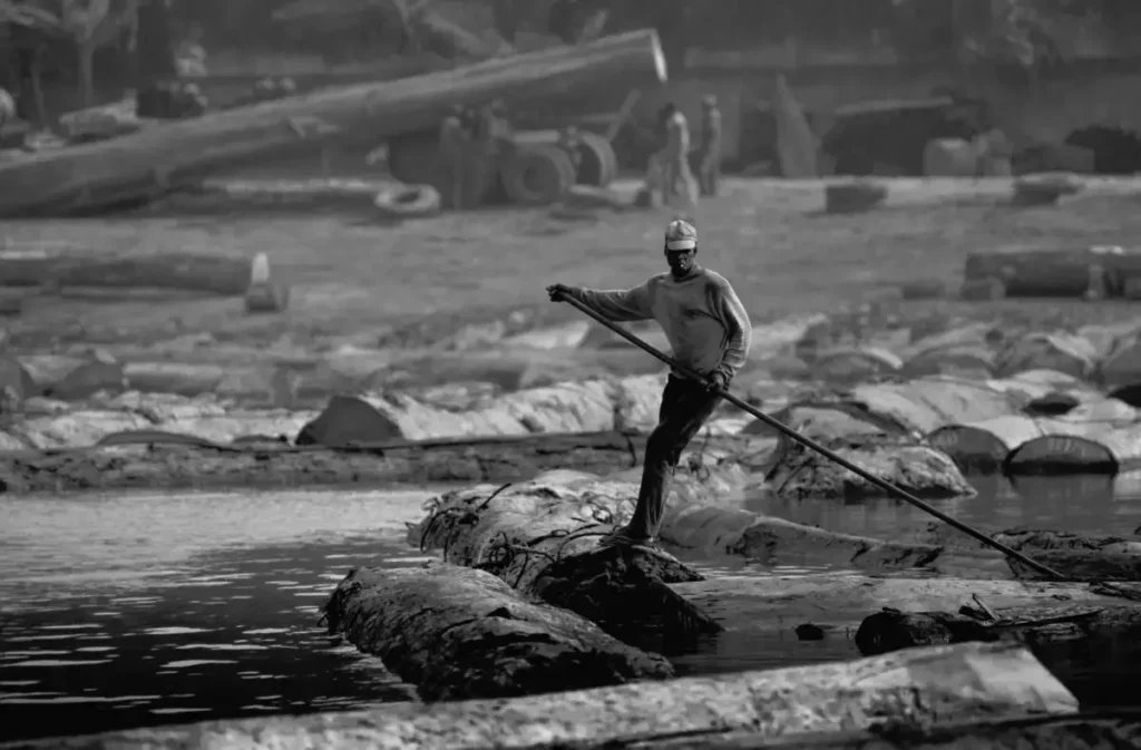 7.Africa. Costa dAvorio. Un boscaiolo manipola enormi tronchi sul fiume