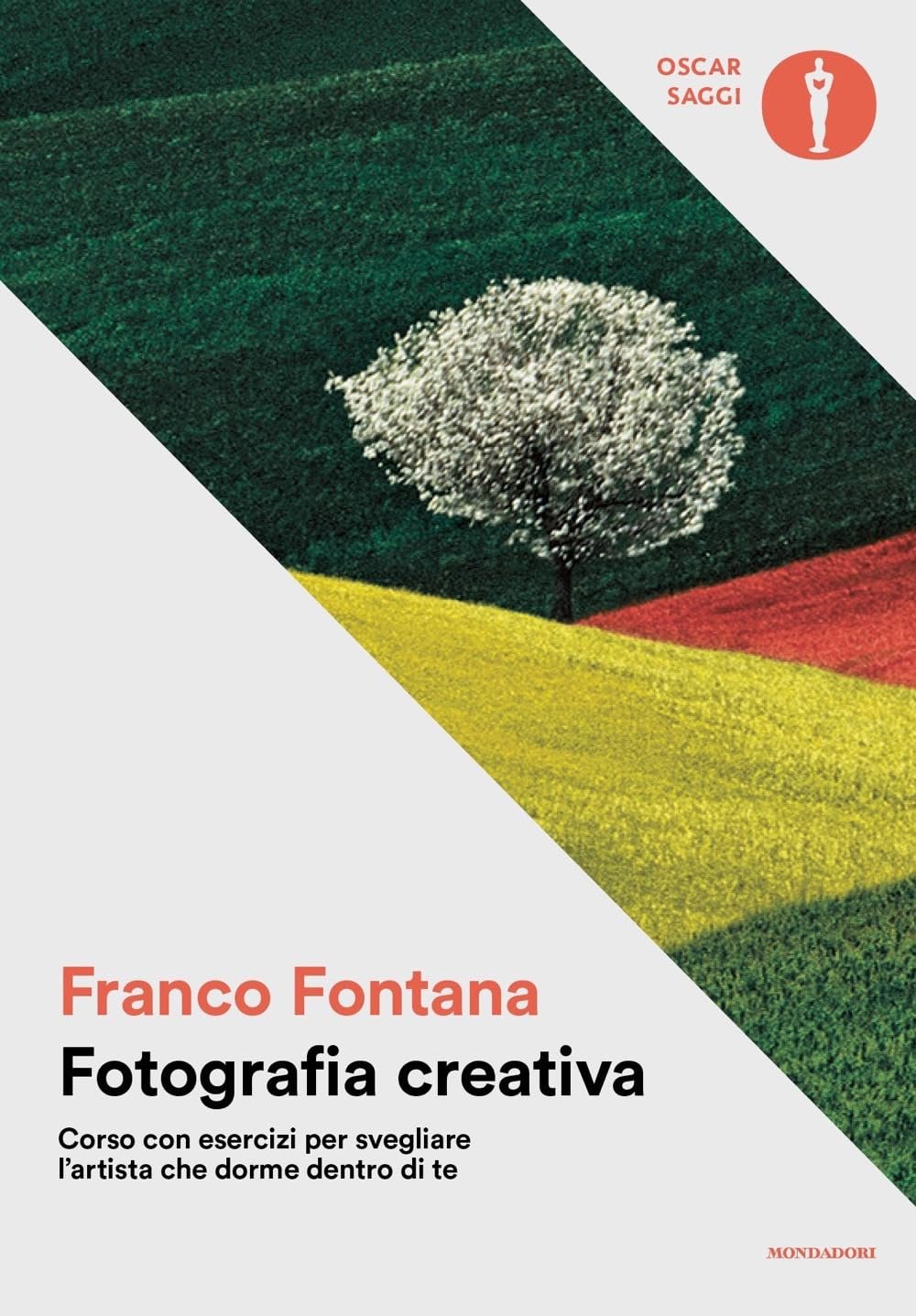 franco fontana