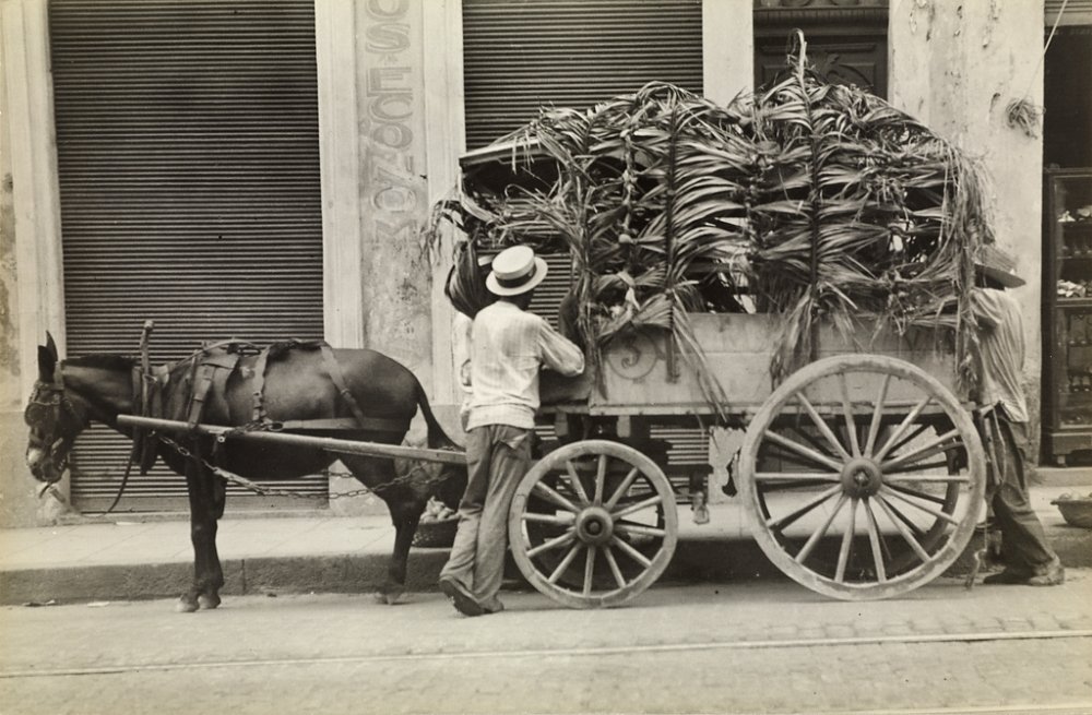 15. Walker Evans – Il fotografo dallo sguardo discreto tra realtà e poesia 10 10.Mule Wagon and Two Men Havana 1933 by Walker Evans