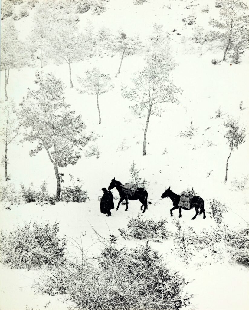 Il Premio Nadar: Storia ed evoluzione del Photobook attraverso il prestigioso premio fotografico francese 5 5.Unimmagine del fotolibro Ombrie Terre de Saint Francois con testi di Pierre Jacq e fotografie di Fulvio Roiter