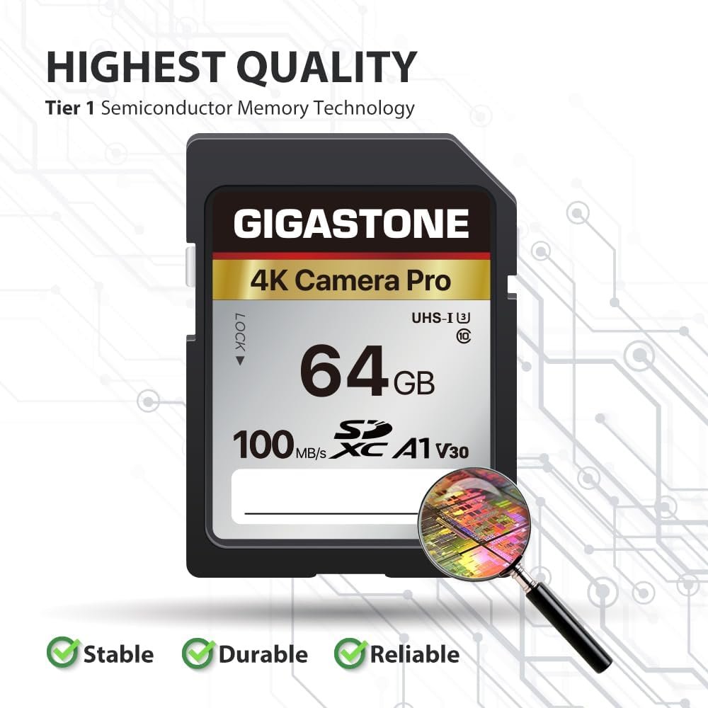 san disk gigastone