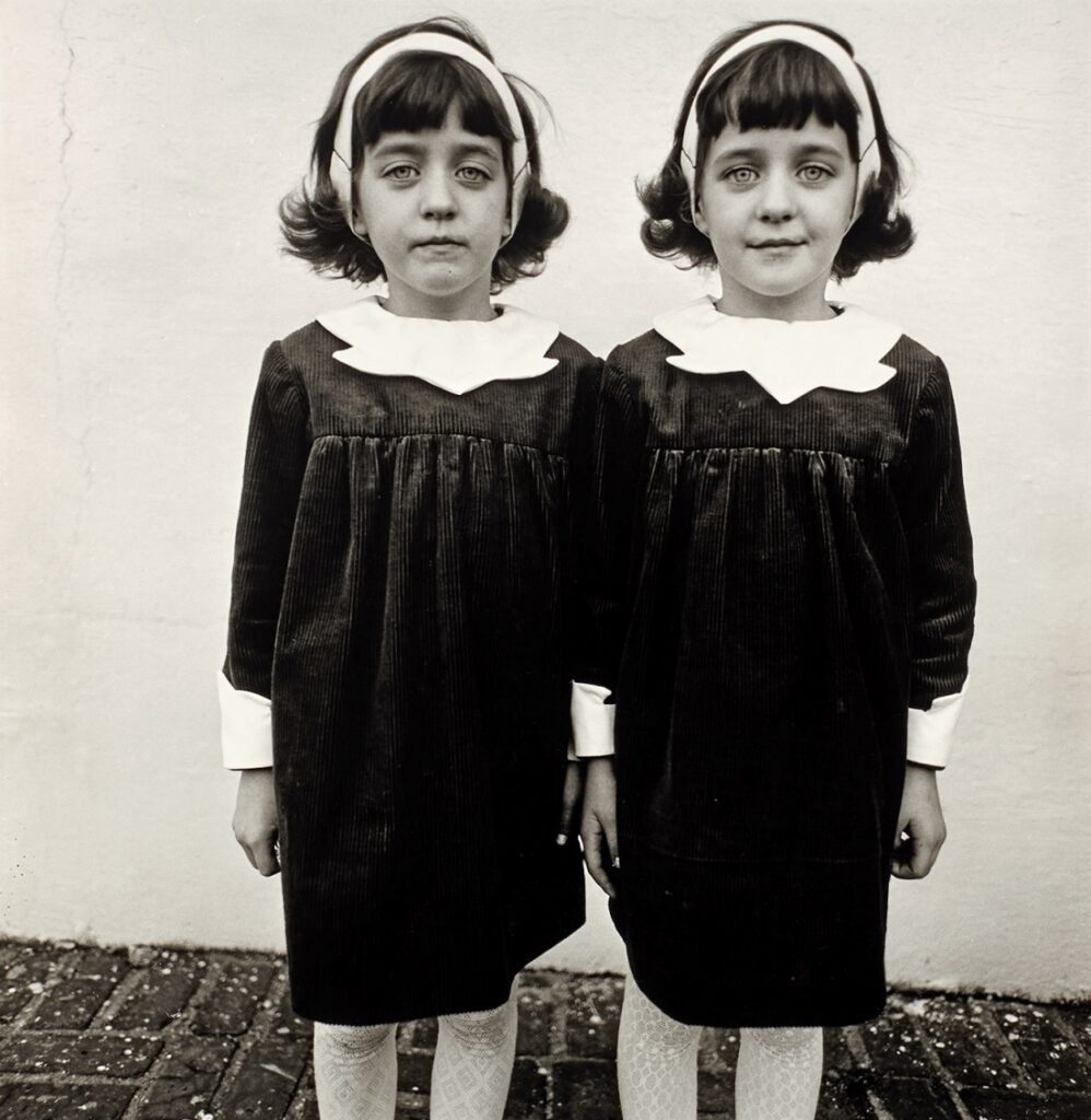 Identical Twins Roselle New Jersey 1967 realizzata da Diane Arbus