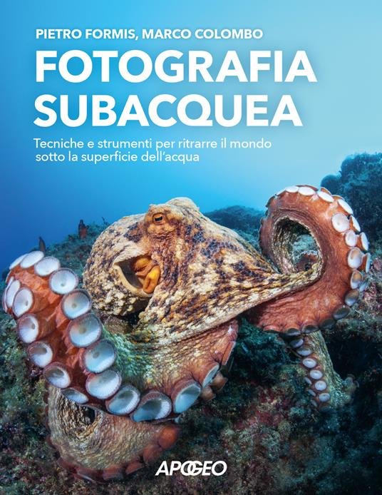 fotografia subacquea fotografia subacquea