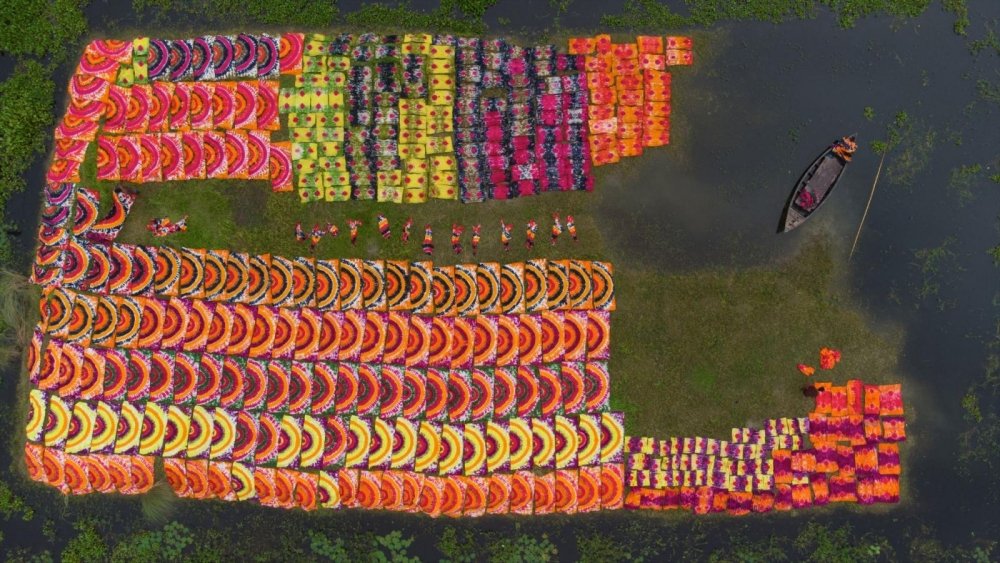 18.S.M. Al Muztaba Rosul 14 17 i colori della vita