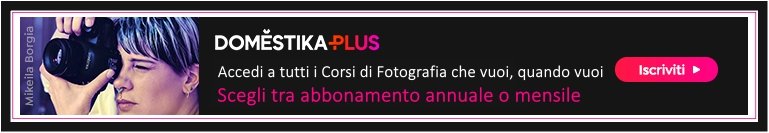 domestika plus home best