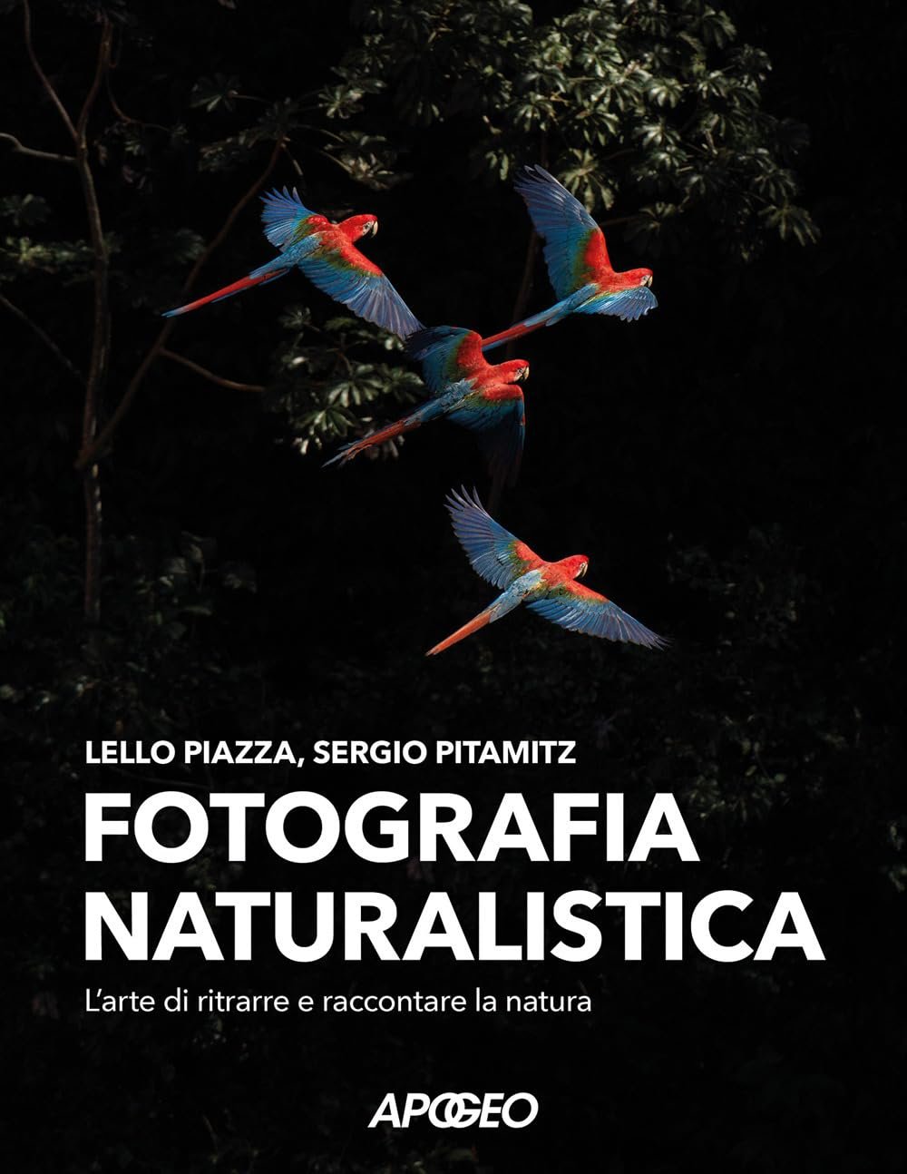 fotografia naturalistica fotografia naturalistica