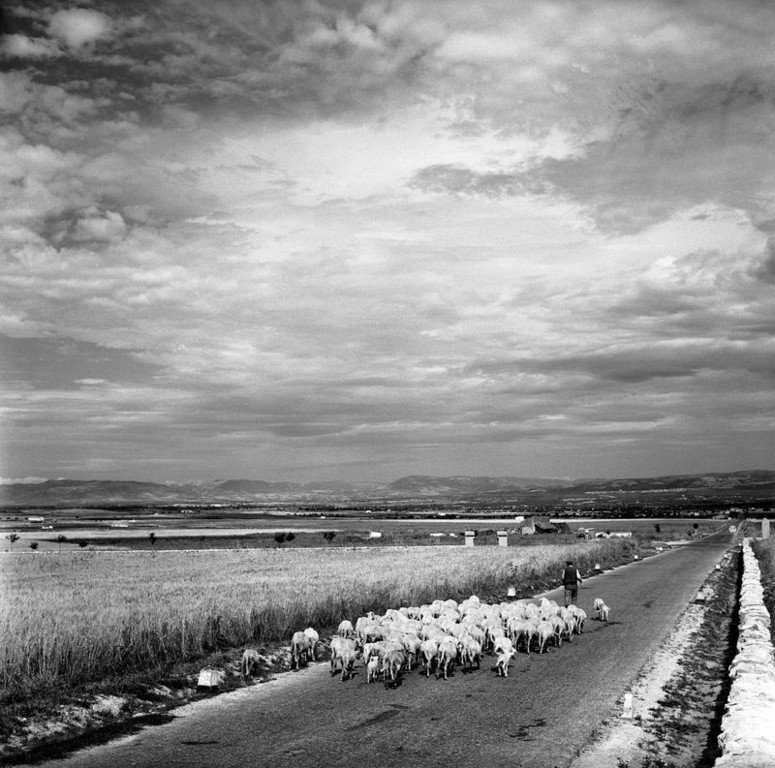 2.Sardegna 1956. Foto Jean Dieuzaide