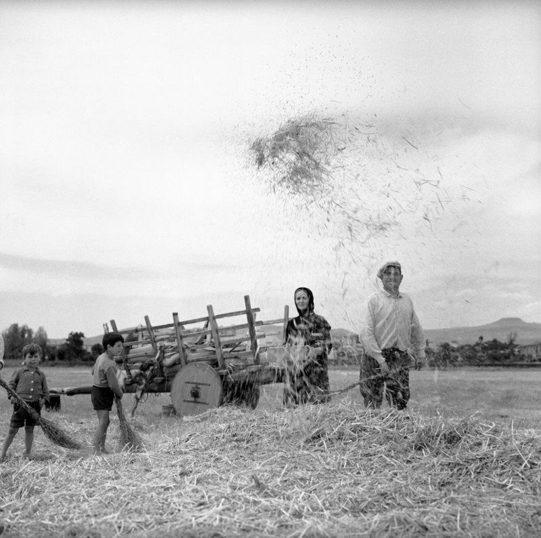 23.Fienagione e trebbiatura del grano foto scattata da Dieuzaide forse nella vasta pianura della Nurra e nelle campagne circostanti situate nella provincia di Sassari nel 1956