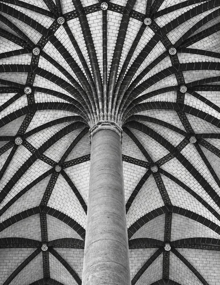 32.Le palmier des Jacobins 1953. Foto Jean Dieuzaide