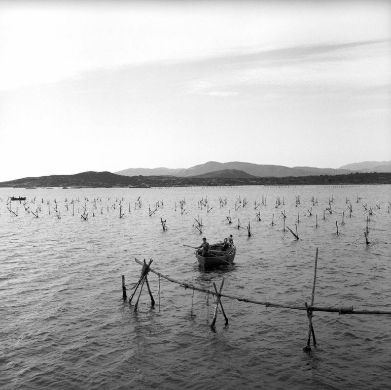 42.Impianto di mitilicoltura allevamento di cozze e due pescatori al lavoro nel Golfo di Olbia.Sardegna 1956. Jean Dieuzaide