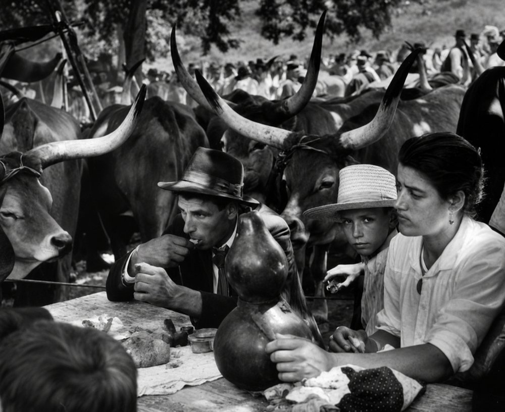 49.Pranzo di San Giovanni Braga Portogallo. 1954. Foto Jean Dieuzaide
