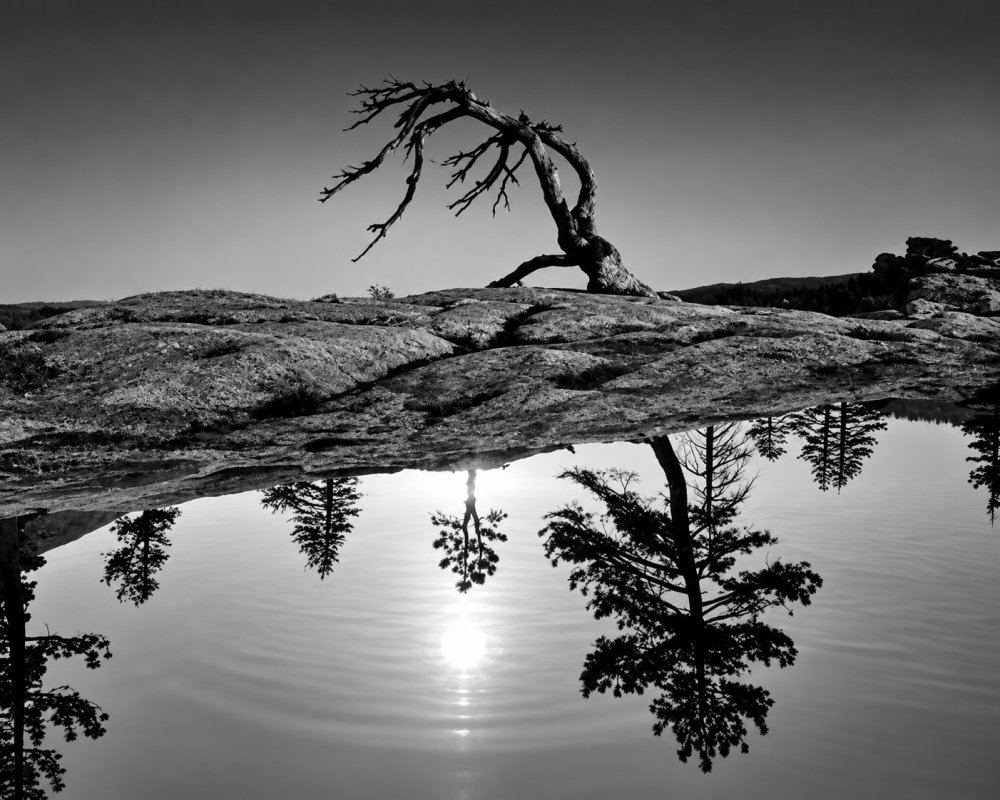 10.Untitled 1975. Jerry Uelsmann