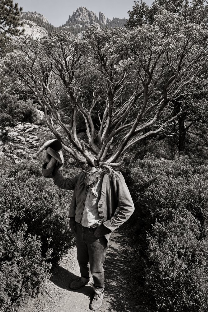 12.Untitled Man with Tree Head 1975. Jerry Uelsmann