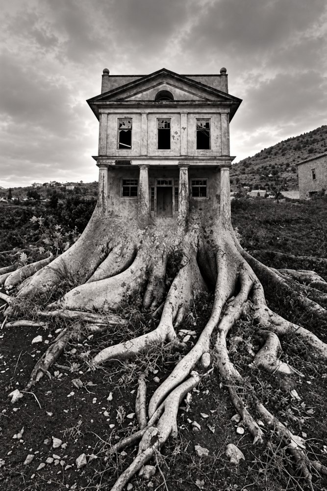 20. Untitled 1982 Jerry Uelsmann