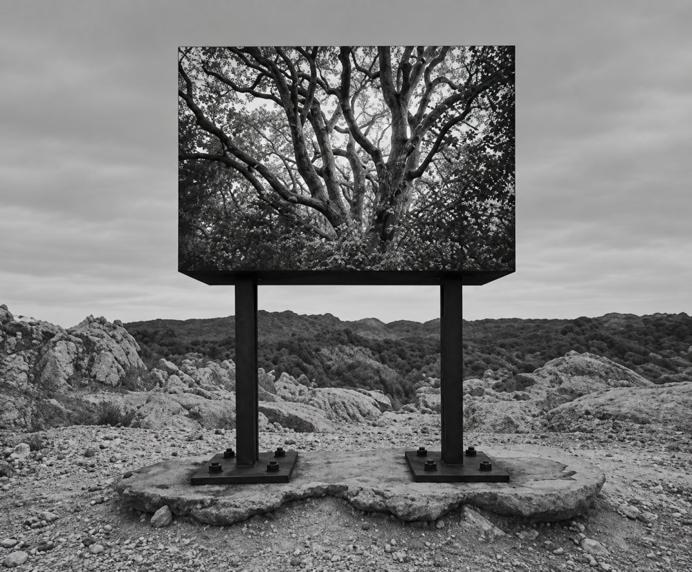 8.Untitled 1969. Jerry Uelsmann